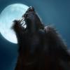 Lycan`